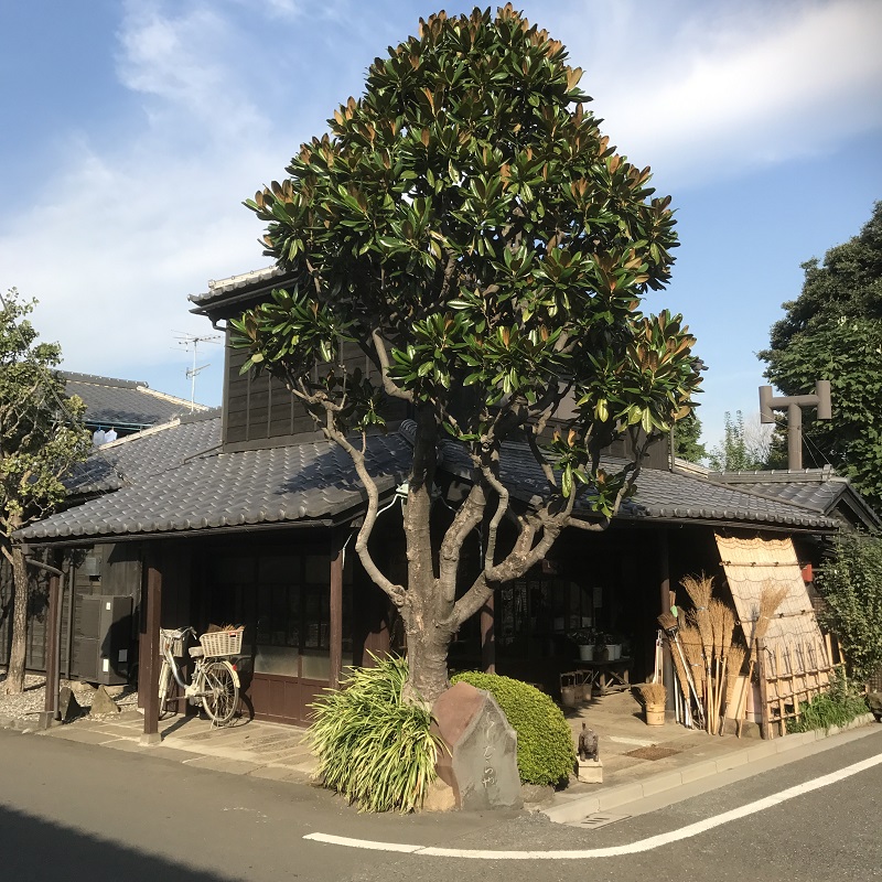 東京谷中にある木造建築の無料写真