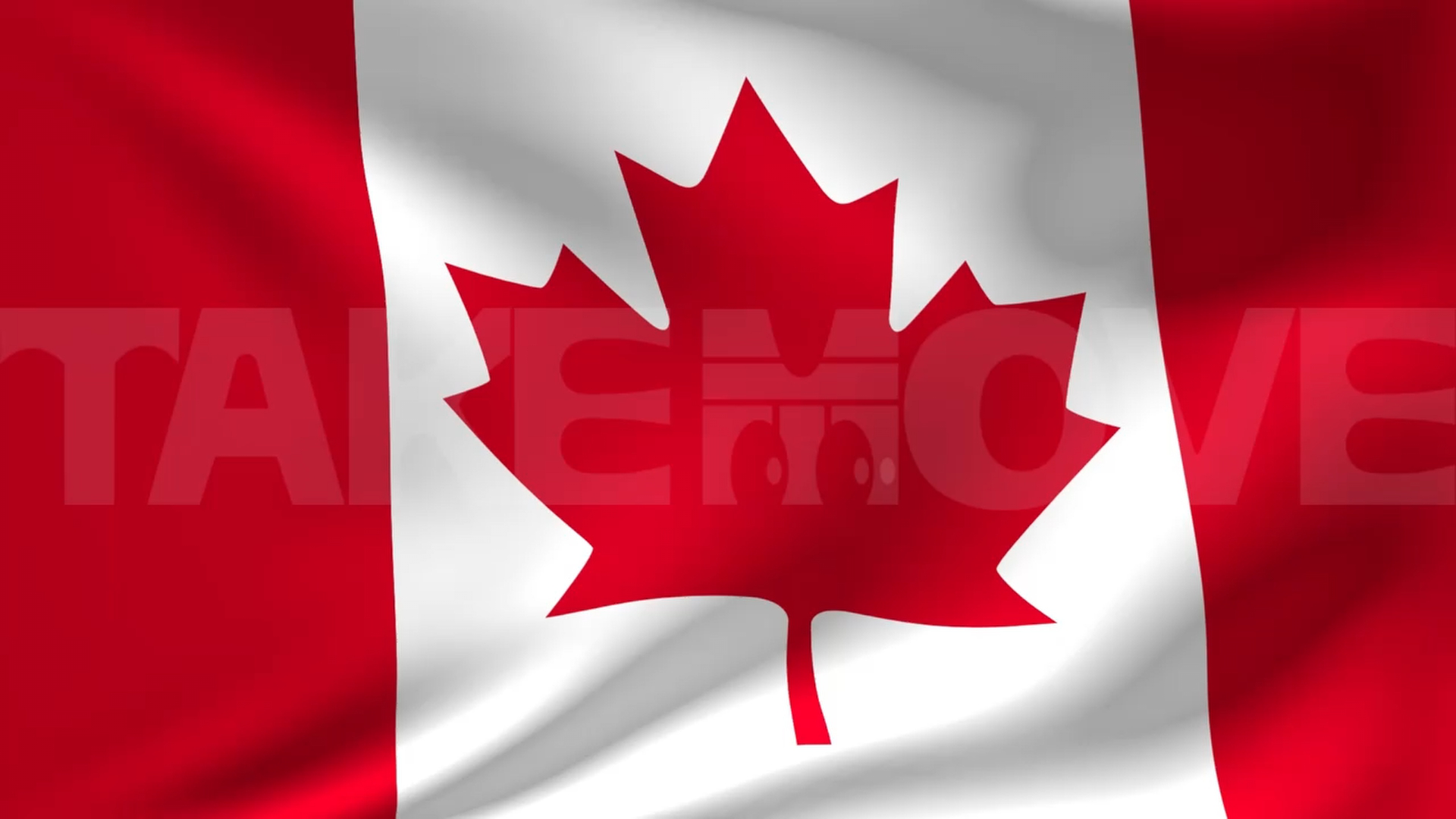 公開中のフリーcg動画素材 ページ1 商用利用可能で無料のフリー動画 写真 ｃｇ素材のテイクムーヴ