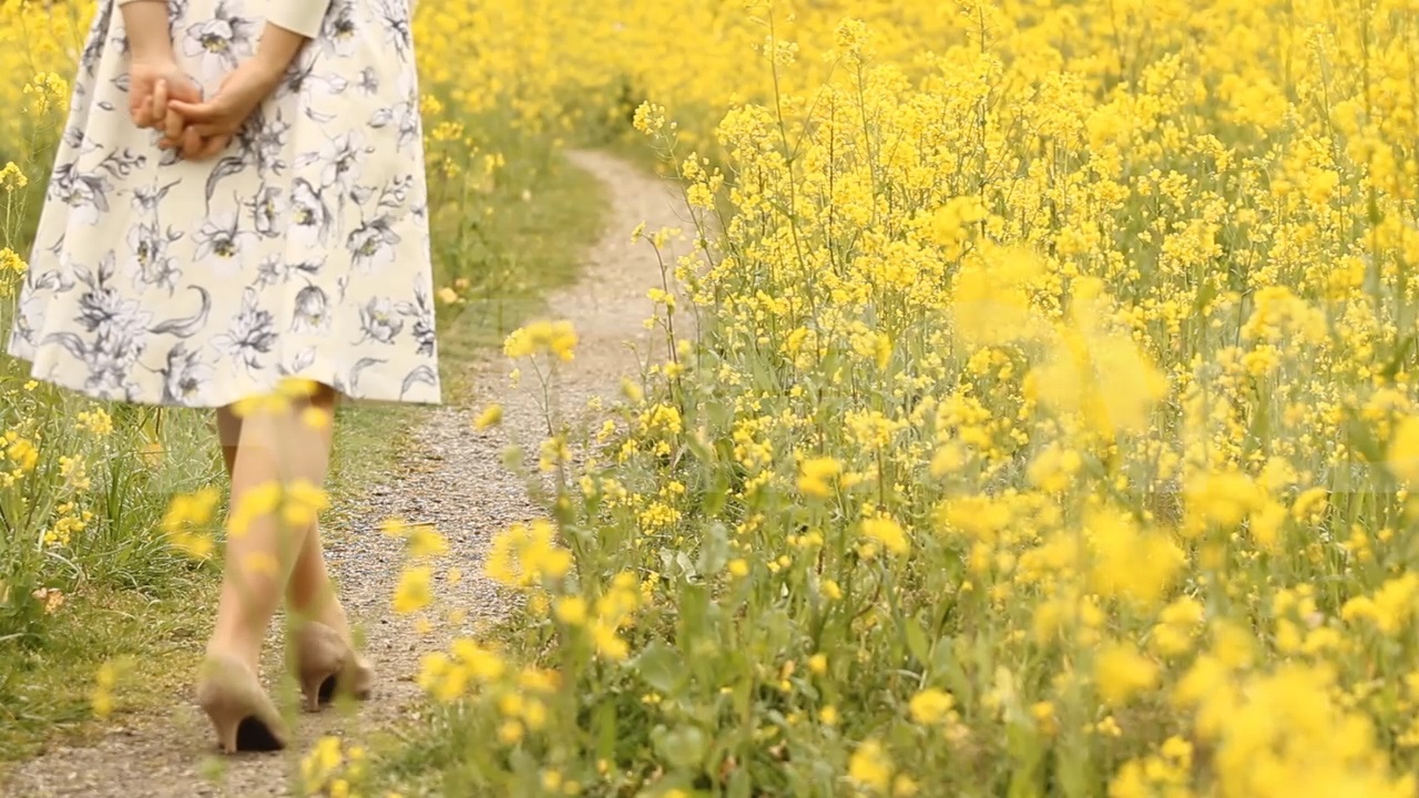 公開中のフリー動画素材 ページ4 菜の花畑を歩く女性や風景 印象描写などのハイビジョン動画素材 商用利用可能で無料のフリー動画 写真 ｃｇ素材 のテイクムーヴ