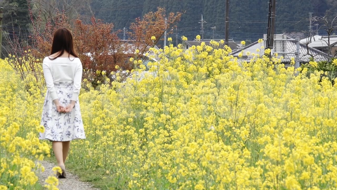 公開中のフリー動画素材 ページ4 菜の花畑を歩く女性や風景 印象描写などのハイビジョン動画素材 商用利用可能で無料のフリー動画 写真 ｃｇ素材 のテイクムーヴ